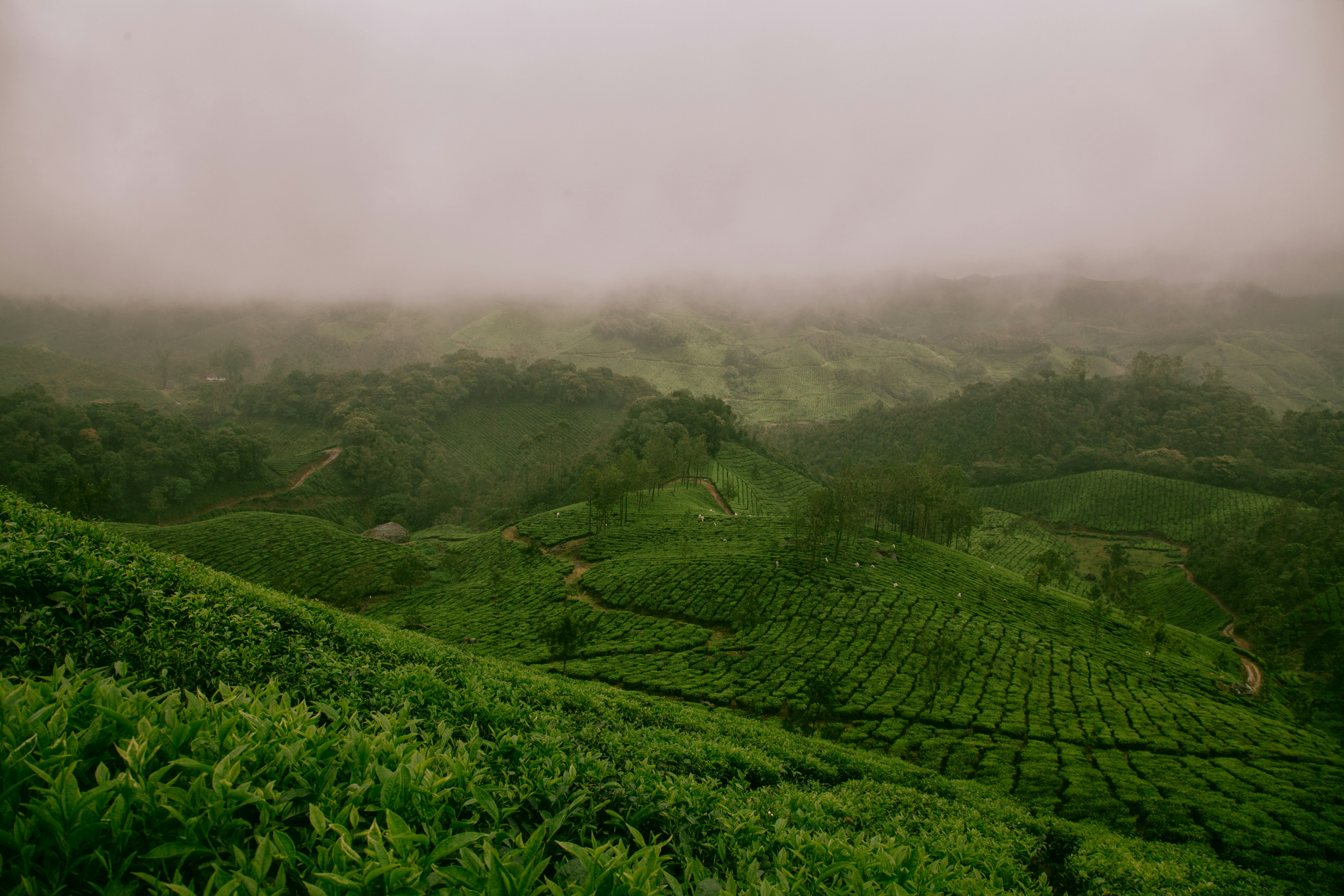 South India Hill Station: Bangalore to Ooty & Coimbatore